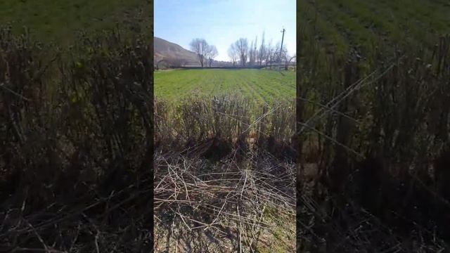 КАК ПРАВИЛЬНО РАБОТАТЬ С ТРИММЕР смотреть онлайн