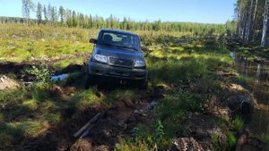 Range Rover P38 - наказал УАЗы в болоте, но потом подвела надежность)) / покатушки/offroad