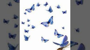 Весёлая песня.