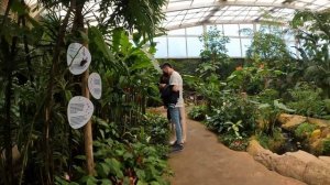 Mariposario de Benalmádena | Butterfly Park | spain | april2022