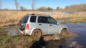 Охота 2016 Ярковский район, Тюменская область, Русь