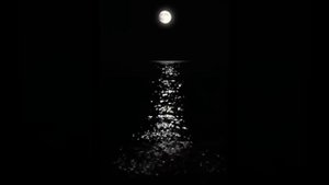 Söz - Benim Hayatım Bu ( Ney Defteri ) - Slowed + reverb