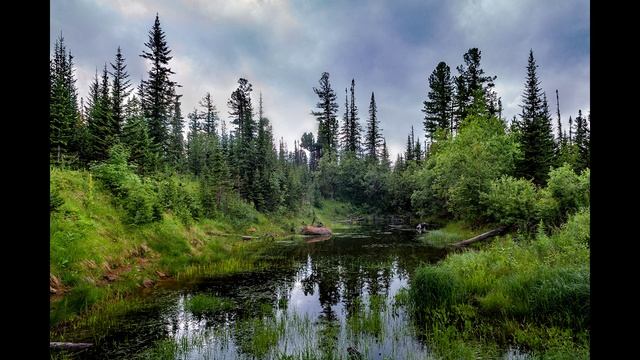 РАЗОЛЬЮСЬ ВОДОЮ ВЕШНЕЙ. Автор Сеня Павлов. Музыка, исполнитель Лариса Правдина. Гитара В. Хусаинов.