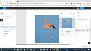 Видео-урок по Figma. Обработка изображений