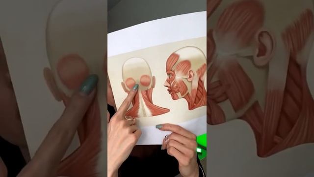 Как убрать ВТОРОЙ ПОДБОРОДОК? Упражнения для подтяжки смотреть онлайн