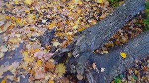 Поход на гору Тип Тяв, в Сокский карьер и Сокские штольни.