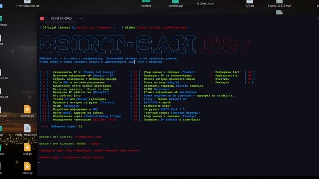 OSINT-SAN PRO 1.0 смотреть онлайн
