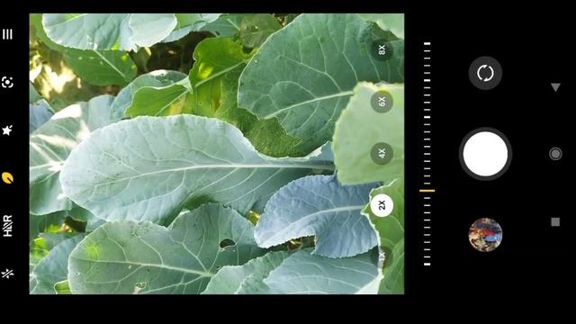 Redmi note 11 me 4 camera kaise chalaye । Redmi note 11 camera setting । redmi note 11 camera test смотреть онлайн