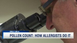 Pollen Count: How Allergists Do It