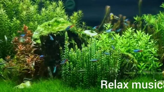 Relaxing music/крепкий сон/???? смотреть онлайн