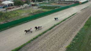 23.07.2022г.Абакан Групповой для лошадей 3-х летРысистых пород 1600м