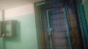 лифты КМЗ в доме серии 124-87-107