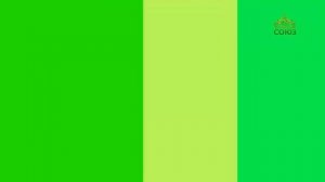 Этот день в истории. 31 января