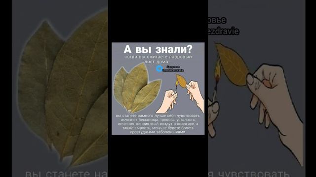 а вы знали!? когда вы сжигаете лавровый лист дома #народнаямедицина #полезныесоветы #здоровье #зож