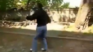 Самбо и Айкидо приёмы