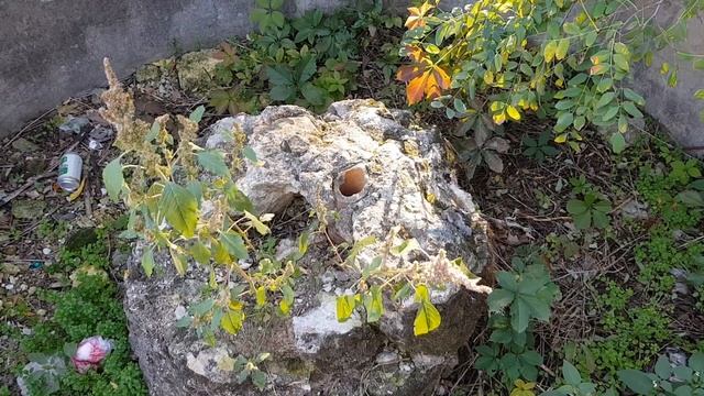 ТАИНСТВЕННЫЙ СТАРИННЫЙ ФОНТАН В ОДЕССЕ. смотреть онлайн