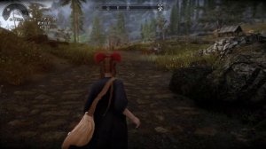 【Skyrim LE SE AE】MOD紹介