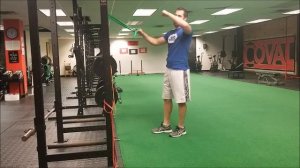Face Pulls | How To Do Them Correctly | Sports Rehab Expert
