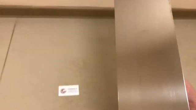 Гладилка швейцарская нержавеющая с ручкой 130х580мм в СНАБМИНСК смотреть онлайн