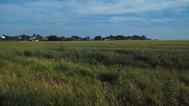 Путешествие на букву Ж. ЖУКИ смотреть онлайн