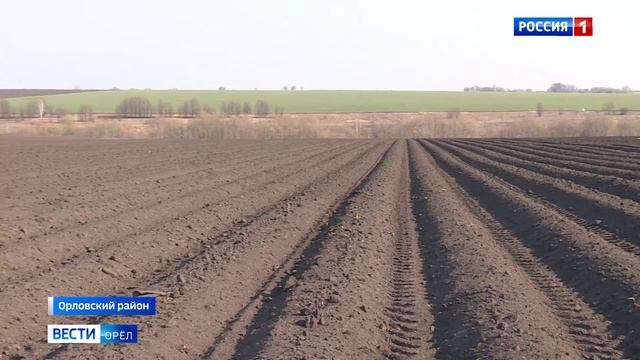 На Орловщине готовятся к посадке картофеля