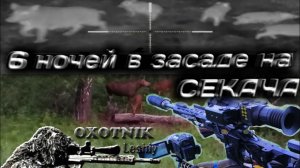 ЗООПАРК на маленьком поле!!! 6 ночей в засаде на КАБАНА!