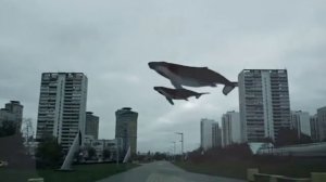 ИНТЕРВЬЮ С КУРАТОРОМ ИГРЫ СИНИЙ КИТ