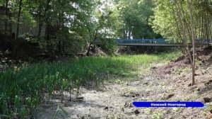 155 млн рублей направят на приведение в порядок русла и берегов реки Борзовки