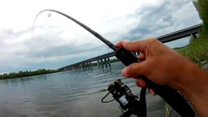 Megabass Ito-Shiner 115 SP - хорошо, но Bearking Ito Shiner 115 - ничем не хуже!.mp4