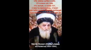 Алимы Табасарана 1