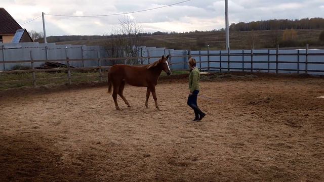 Прада Голд 1.5 года смотреть онлайн