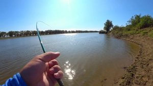 ТАКОГО УЛОВА Я НЕ ОЖИДАЛ! ЧУТЬ НЕ ПОРВАЛ ШНУР!!! ЛОВЛЯ СУДАКА !!Fishing Stories #2