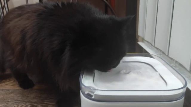 Тест поилки для животных Xiaomi Petkit Eversweet 2 Smart Water Dispenser 2S смотреть онлайн