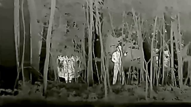 Маскировочного костюма смотреть онлайн