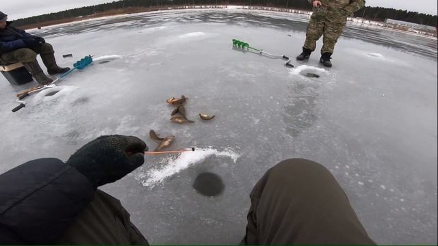 ЗИМНЯЯ РЫБАЛКА. Кто БОЛЬШЕ ПОЙМАЕТ РОТАНА? ХАНТЫ-МАНСИЙСК 2021. #клеваярыбалка #югра #зимняярыбалка