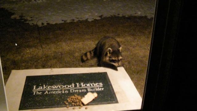 Американская сказка на ночь — суровая зима в Чикаго смотреть онлайн