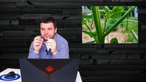 Выращивание томатов от А до Я. Все что нужно знать о помидорах, получаем большой урожай. Часть 2