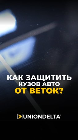 Как ЗАЩИТИТЬ кузов авто от ВЕТОК? #антигравийнаяпленка #кузов #краштест