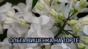 ДЕТЕЙ ВЕРНУЛИ? ПЬЁТ ДАЛЬШЕ? ИРИНА КОСТЫЛЕВА. ОБЗОР ВЛОГОВ.