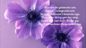 А дни летят, летят вперёд.  Елена Ваймер на слова Анны Бовель