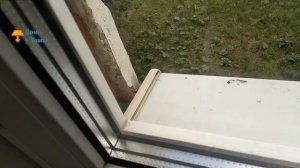 Воробьи свили гнездо под окном в стене панельного дома