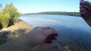 Ловля леща на Верхней Волге.  КЛЁВ КАК НА ЧЁРНЫХ КАМНЯХ.