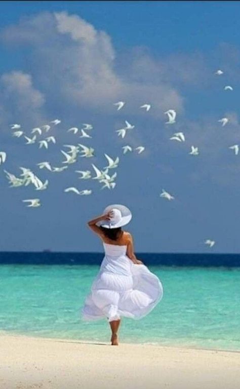 Интересные Поздравления С Днем Рождения смотреть онлайн