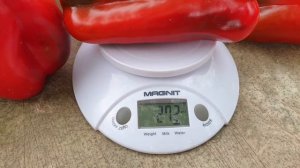 Лучший сладкий перец - Ливадия F. Семена Партнёр.