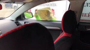 Как правильно мыть стекла на авто