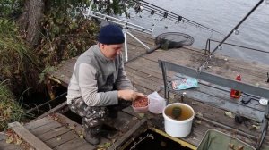 Ловля карася и карпа осенью