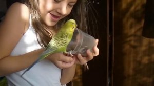 SAMSUNG  HMX-U20 test video