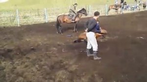 Самый дикий конь покорился этому джигиту. Лошади