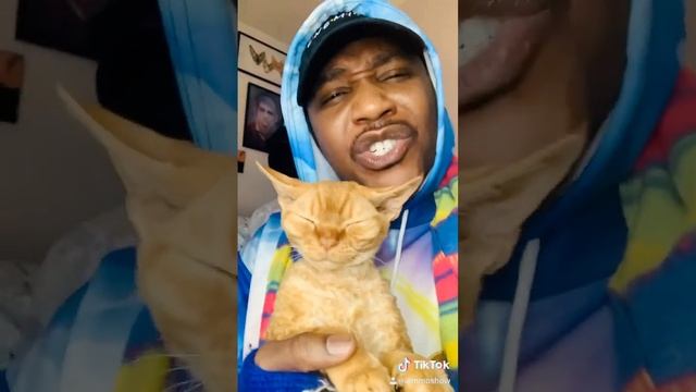 Grab your cat and do a cat dance ❤️ #thecatrapper #freestyle #rap #kitty #kitten #gato #catrap #meo