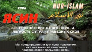 СУРА ЯСИН. СПОКОЙСТВИЕ НА ВСЮ НОЧЬ И ЛЕГКОСТЬ С УТРА. Сложные проблемы будут решены Ин Ша Аллах